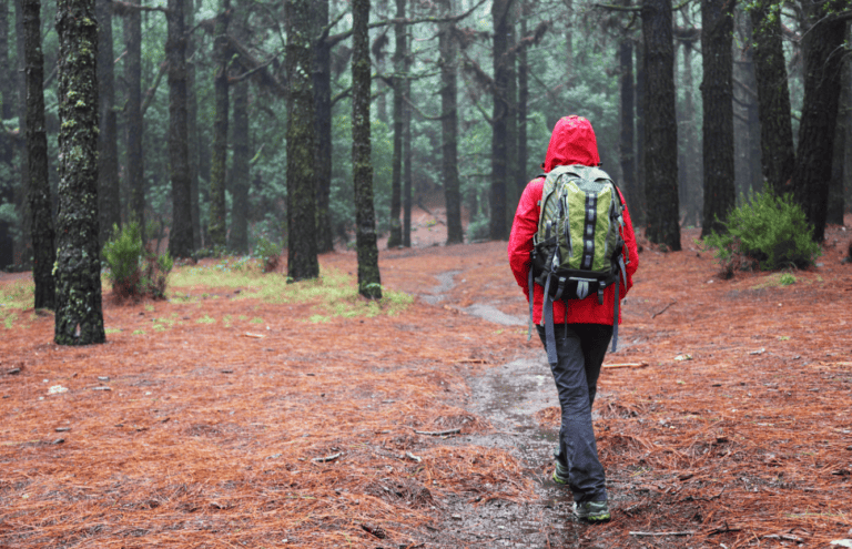 10 Tips for Hiking in the Rain – How to Stay Dry and Warm