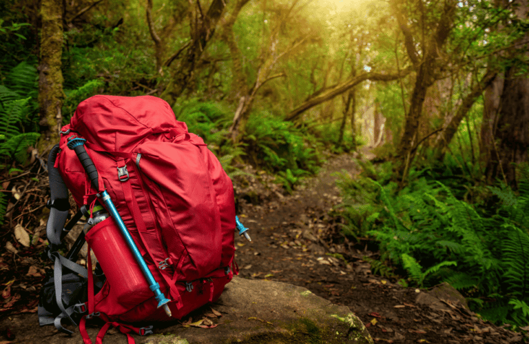 The Ultimate Day Hiking Checklist: A Comprehensive Guide
