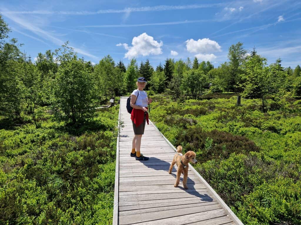 hiking with dogs trail etiquette