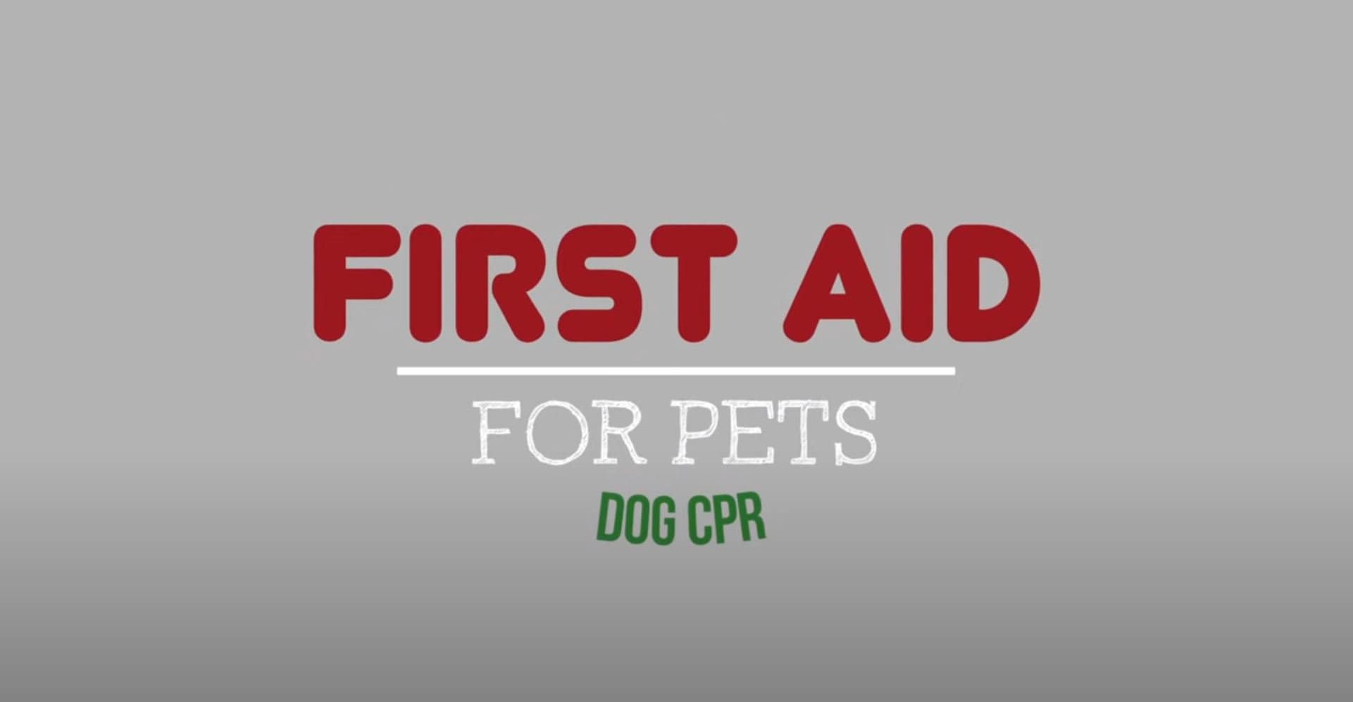 dog first aid kit Dog CPR