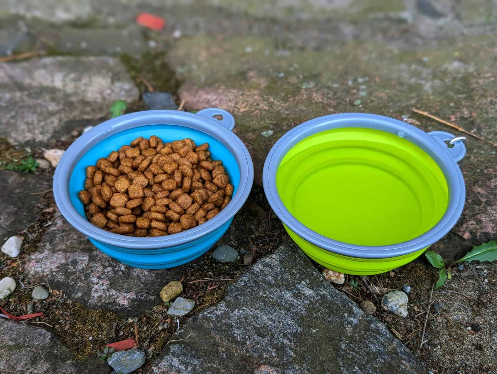 dog camping gear bowls