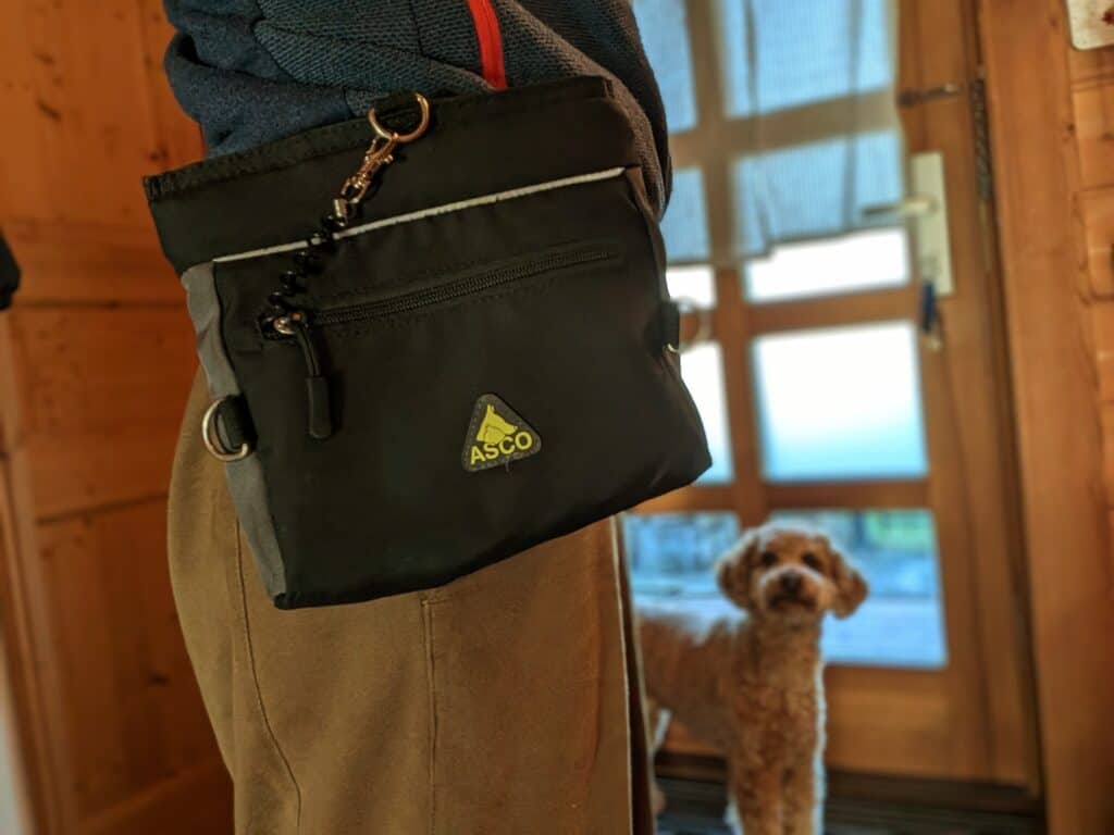 dog camping gear treat pouch