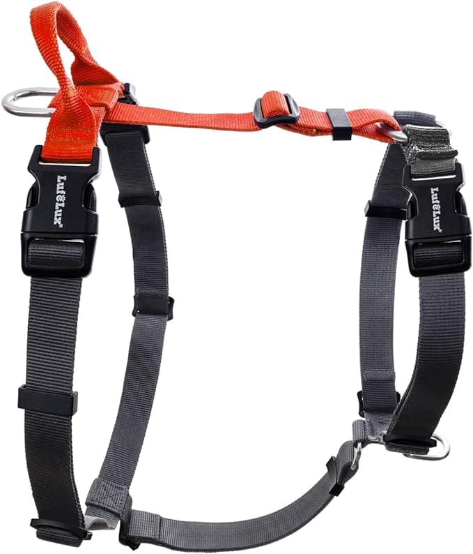 dog camping gear y Harness