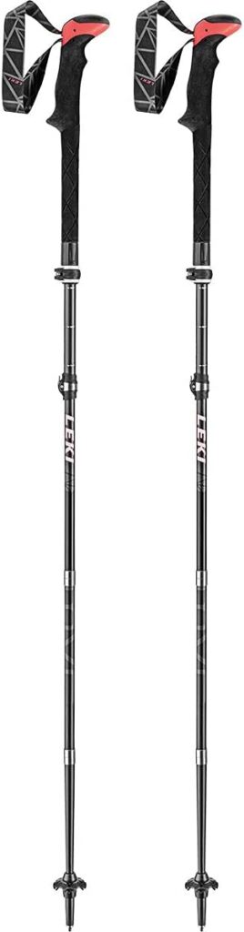 best hiking poles Leki Micro Vario Carbon