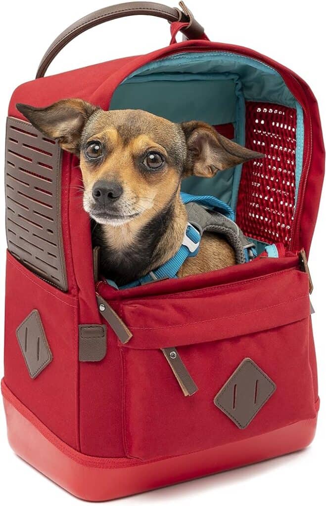 dog hiking backpack Kurgo Nomad Carrier Backpack