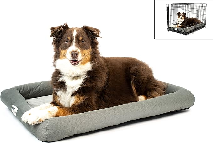 dog camping bed PetFusion Lavender-Infused Dog Bed