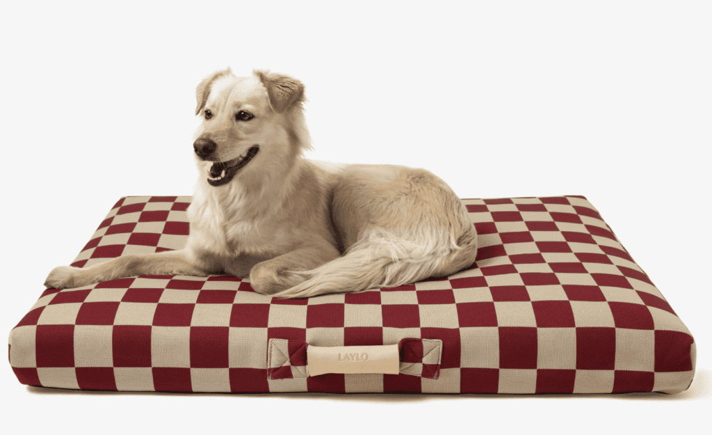 camping dog bed laylo dog bed