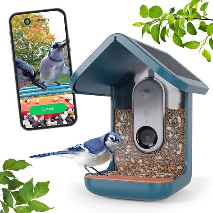 gifts for nature lovers Bird Buddy