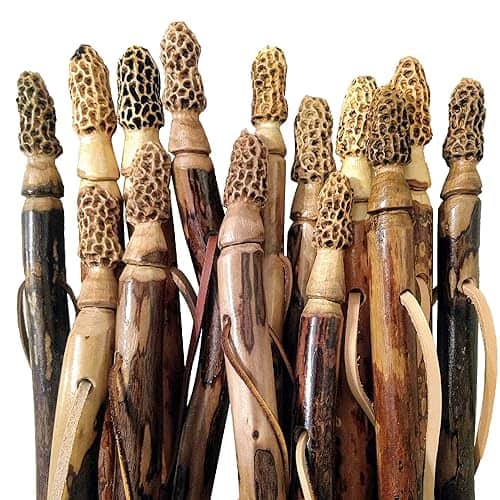 hiking gifts for her Walking Staff