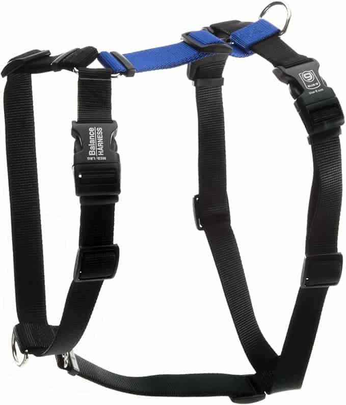 dog harness for hiking Blue-9 Balance Harness