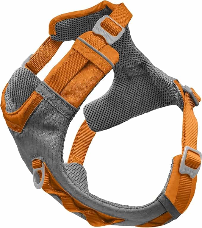 dog harness for hiking Kurgo Journey Air Harness